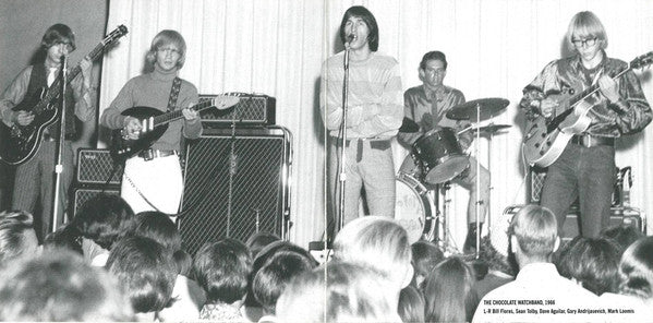 The Chocolate Watchband : Melts In Your Brain...Not On Your Wrist! (2xCD, Comp)