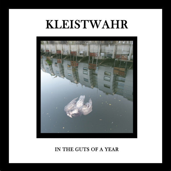 Kleistwahr : In The Guts Of A Year (CD, Album)