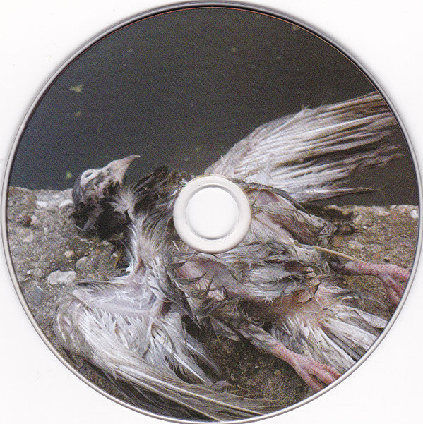 Kleistwahr : In The Guts Of A Year (CD, Album)