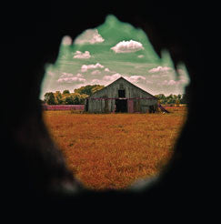 The Ravenna Colt : Slight Spell (LP)
