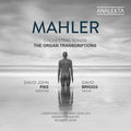Gustav Mahler, David John Pike, David Briggs (5) : Orchestral Songs - The Organ Transcriptions (CD, Album)
