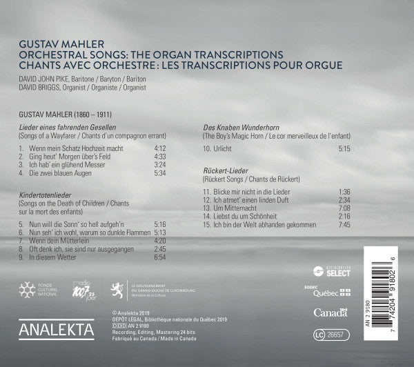Gustav Mahler, David John Pike, David Briggs (5) : Orchestral Songs - The Organ Transcriptions (CD, Album)