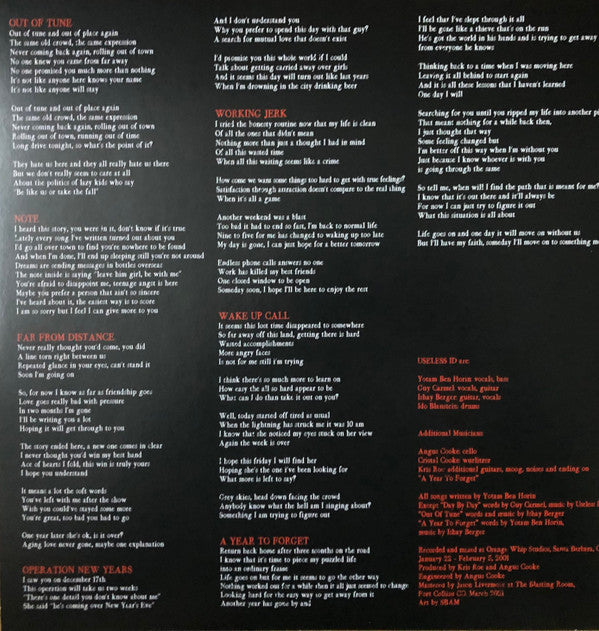 Useless ID : Bad Story, Happy Ending (LP, gre)