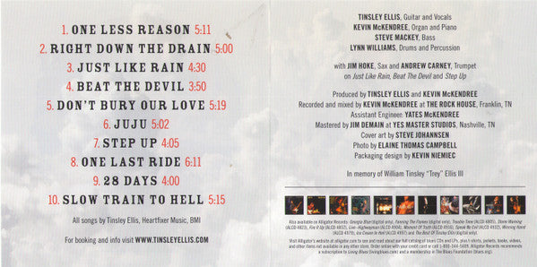 Tinsley Ellis : Devil May Care (CD, Album)