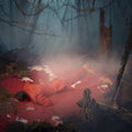 The Kernal : Listen To The Blood (CD, Album)