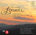 BBC Concert Orchestra, Gavin Sutherland (3), David Owen Norris, Roderick Williams (3), Owain Arwel Hughes, Rupert Marshall Luck : Now Comes Beauty  	 (2xCD, Album)