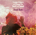 Fruit Bats : Sometimes A Cloud Is Just A Cloud: Slow Growers, Sleeper Hits, And Lost Songs (2001-2021) (2xLP, Dlx, Pin)