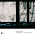 Andrea Parkins : Two Rooms From The Memory Palace (CDr, Album)