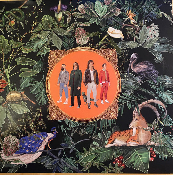 Don Broco : Amazing Things (LP, Album)