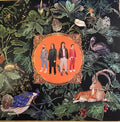 Don Broco : Amazing Things (LP, Album)