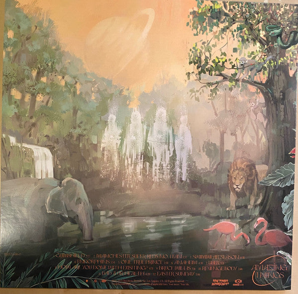 Don Broco : Amazing Things (LP, Album)