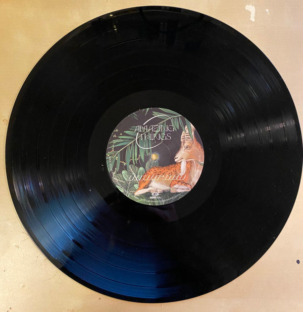 Don Broco : Amazing Things (LP, Album)