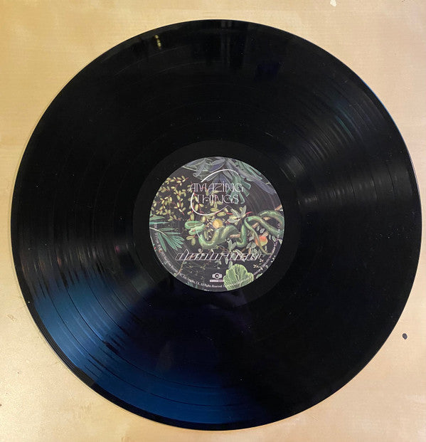 Don Broco : Amazing Things (LP, Album)