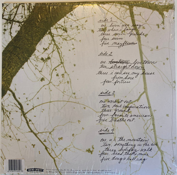 The Glands : The Glands (2xLP, Ltd, RE, RM, Lig)