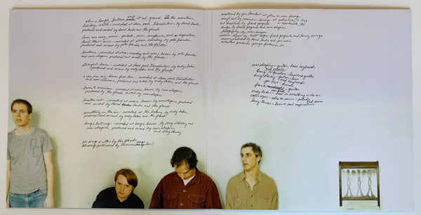 The Glands : The Glands (2xLP, Ltd, RE, RM, Lig)