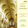 The Cathedral Choir Exeter Directed By Stephen Tanner (2), David Davies (11) : A Year In Exeter Cathedral   (CD, Album)