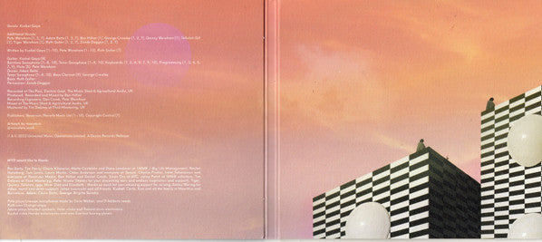 Melt Yourself Down : Pray For Me I Don't Fit In (CD, Album)