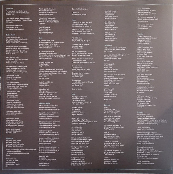 Midlake : For The Sake Of Bethel Woods (LP, Album, Cle)