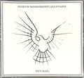 North Mississippi Allstars : Set Sail (CD, Album)