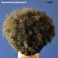 Reginald Omas Mamode IV : Stand Strong  (LP)