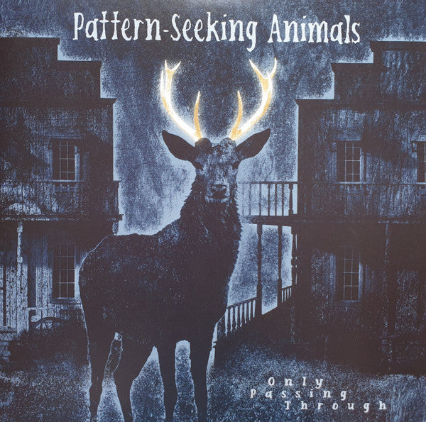 Pattern-Seeking Animals : Only Passing Through (LP + LP, S/Sided, Etch + Album + CD, Album)