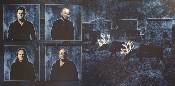 Pattern-Seeking Animals : Only Passing Through (LP + LP, S/Sided, Etch + Album + CD, Album)