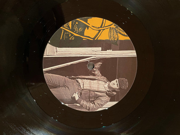 The High Water Marks : Proclaimer of Things (LP)
