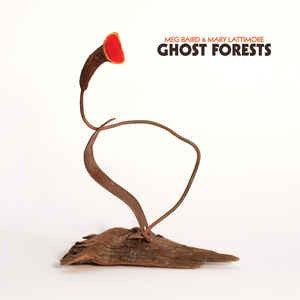 Meg Baird & Mary Lattimore : Ghost Forests (LP, Album, Ltd, RE, Oxi)