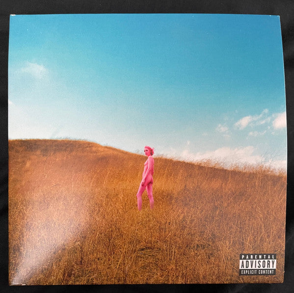 The Regrettes (3) : Further Joy (CD, Album)
