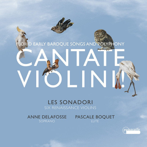Les Sonadori, Anne Delafosse-Quentin, Pascale Boquet : Cantate Violini! - Florid Early Baroque Songs And Polyphony (CD)