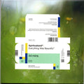 Spiritualized : Everything Was Beautiful™ (CD, Album)