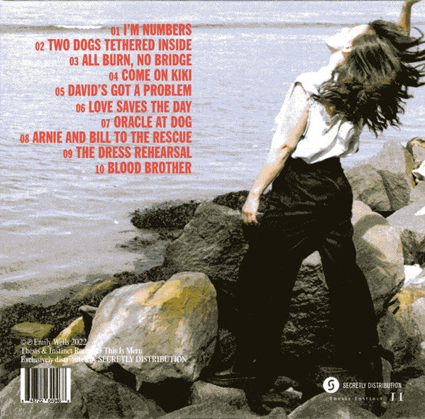 Emily Wells : Regards To The End (CD, Album)