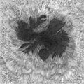 Opal Hush : Remote Viewer (LP, Album, Red)