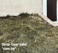 Three-Layer Cake : Stove Top (CD, Album)