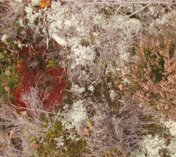Fursaxa : Mycorrhizae Realm (CD, Album)