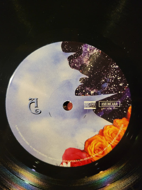 Andy Falco : The Will of the Way (LP, Album)