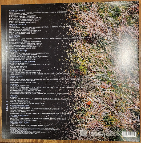 Andy Falco : The Will of the Way (LP, Album)