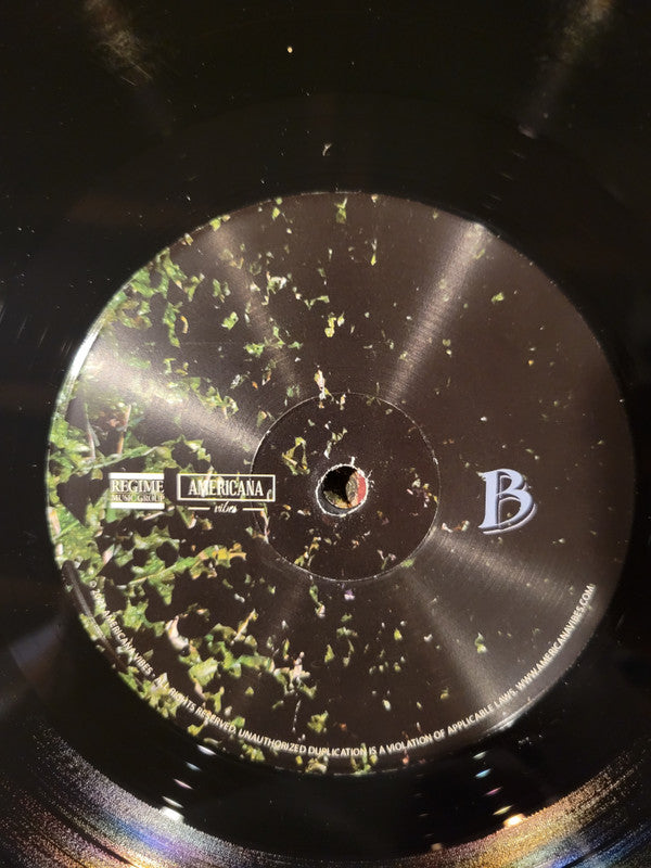 Andy Falco : The Will of the Way (LP, Album)