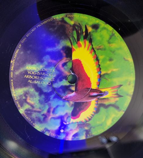 Ozric Tentacles : Arborescence (LP, Album, RE, RM, Bla)