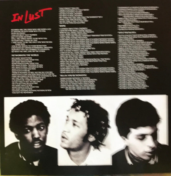 The Dance : In Lust (LP, Album, RE, Gre)