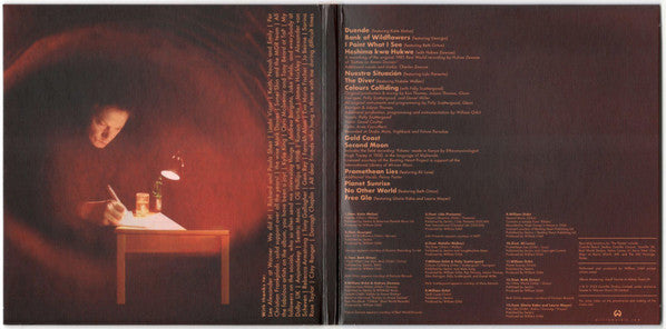 William Orbit : The Painter  (CD, Album)