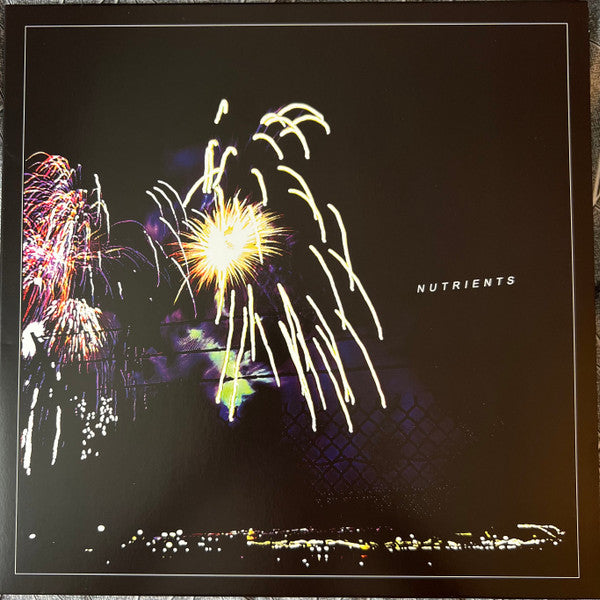 Nutrients (2) : Different Bridges (LP, Album)