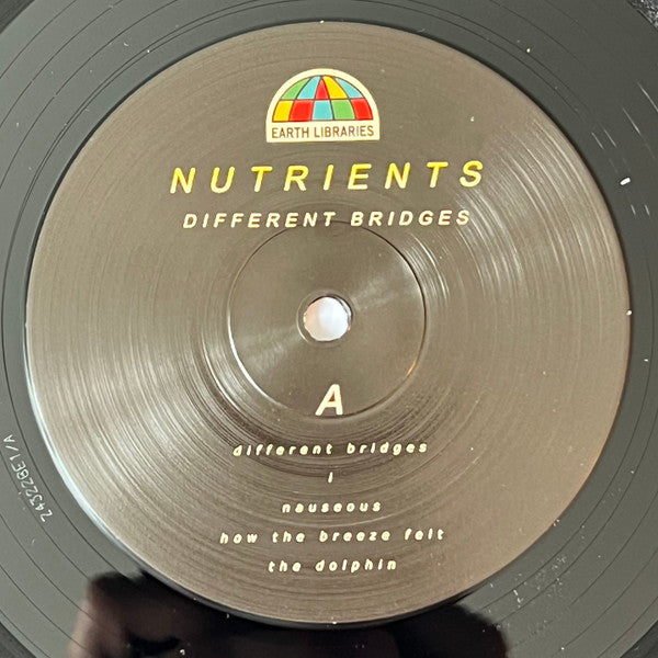 Nutrients (2) : Different Bridges (LP, Album)