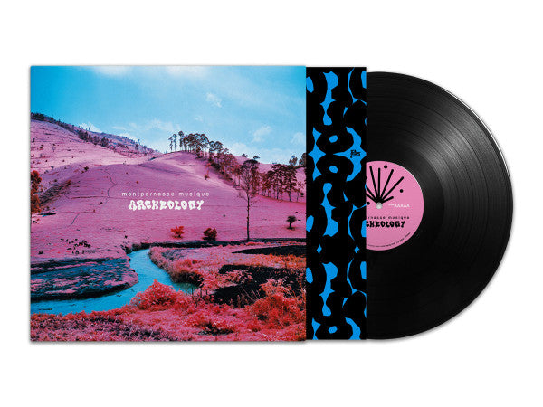 Montparnasse Musique : Archeology (LP, Album)