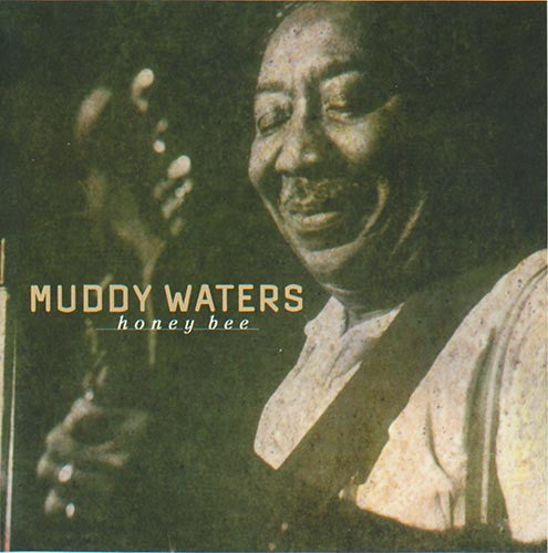 Muddy Waters : Honey Bee (CD, Comp)