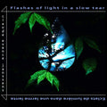 Claude Janssens : Flashes Of Light In A Slow Tear (CD, Album)