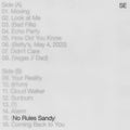 Sylvan Esso : No Rules Sandy (CD, Album)