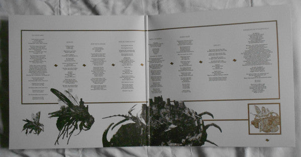 Bizarrekult : Den Tapte Krigen (LP, Album, Ltd, Gol)