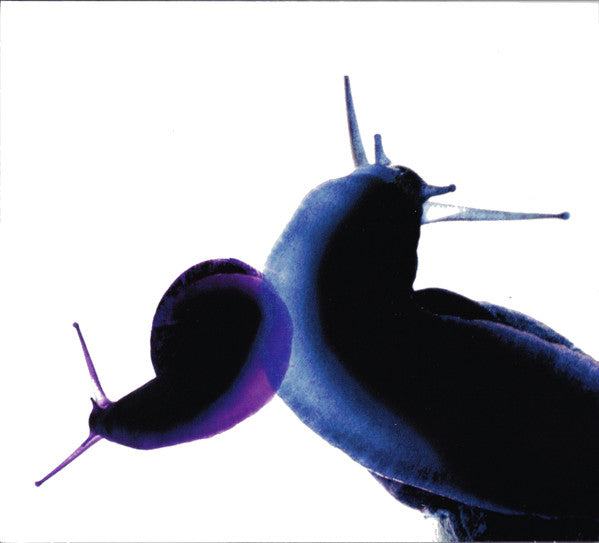 Anthony Phillips & Joji Hirota : Wildlife (CD, Album, RE, RM + CD, RM)