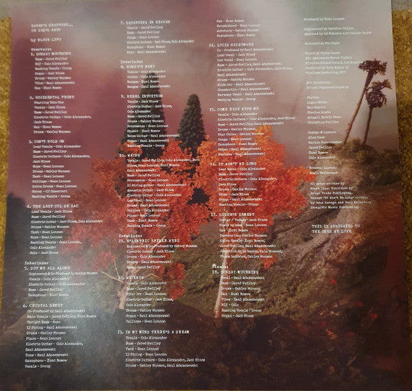 The Black Lips : Satan's Graffiti Or God's Art? (2xLP, Album)